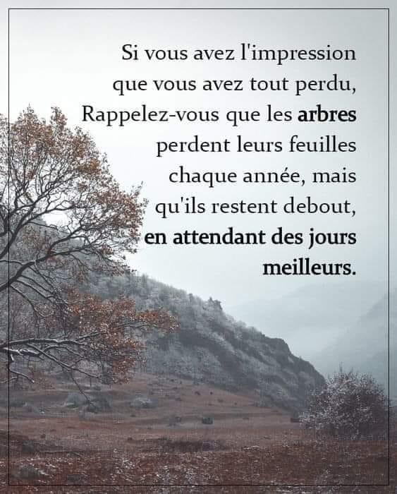 Arbre resilience